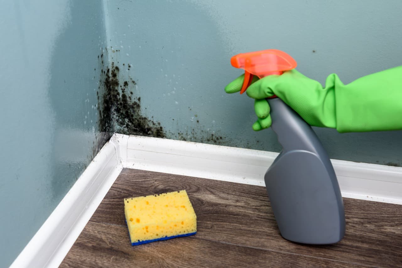 A person wearing a protective mask while cleaning mold