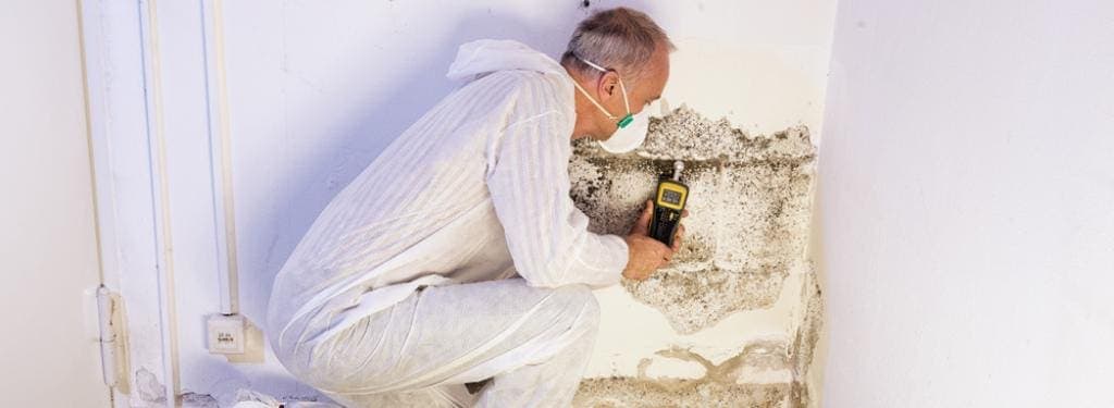 Residential Mold Inspection Image