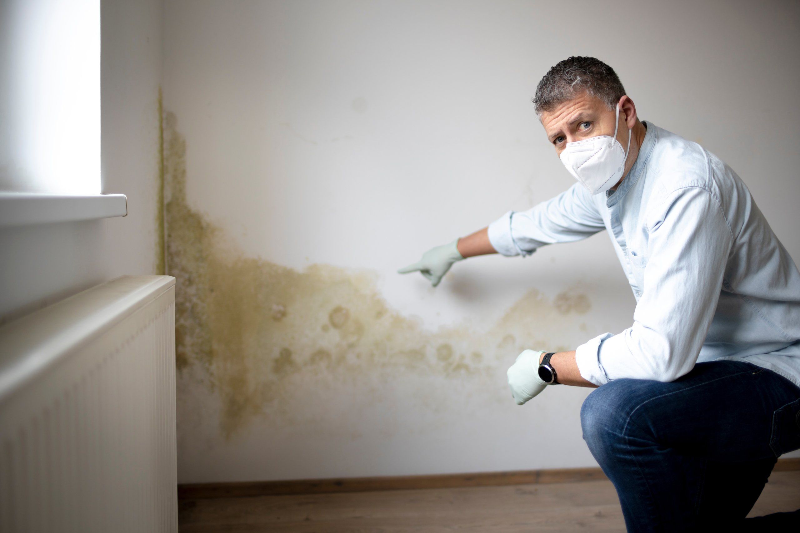 Mold Inspection